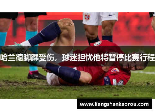 哈兰德脚踝受伤，球迷担忧他将暂停比赛行程