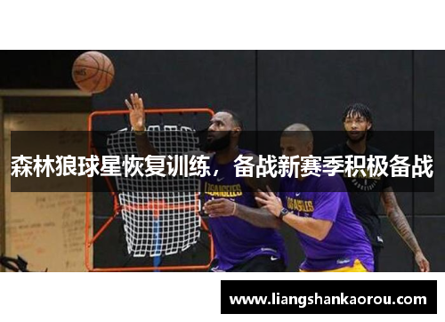 森林狼球星恢复训练，备战新赛季积极备战