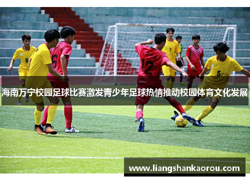 海南万宁校园足球比赛激发青少年足球热情推动校园体育文化发展